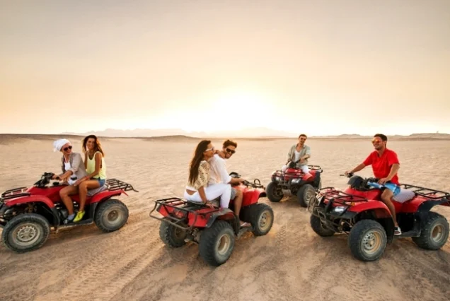 Dubai VIP Safari