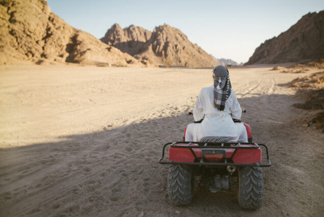 Dubai'de Standart Safari
