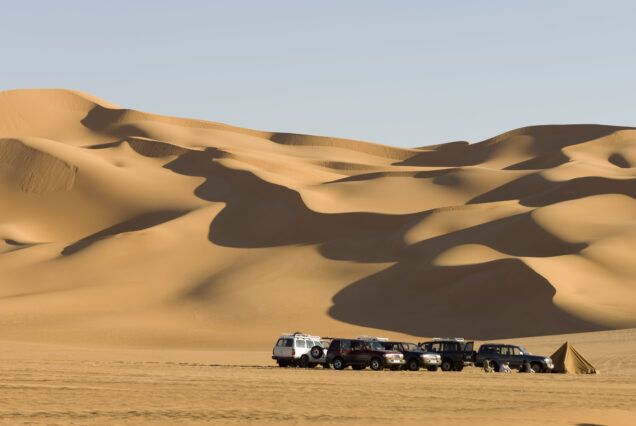 Dubai : Özel Araçla VIP Safari