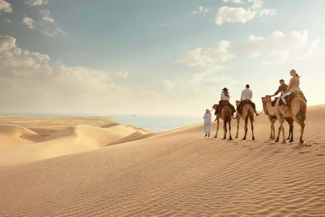 Dubai Platinum Safari